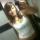 Foto de Ashelii