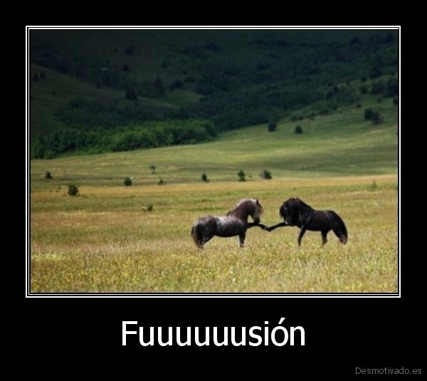 Fuuuuuusión