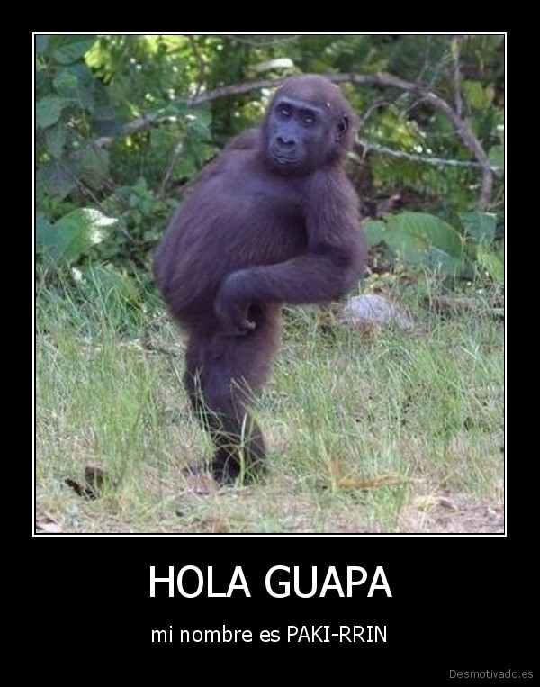 HOLA GUAPA