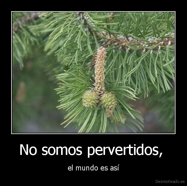 No somos pervertidos,