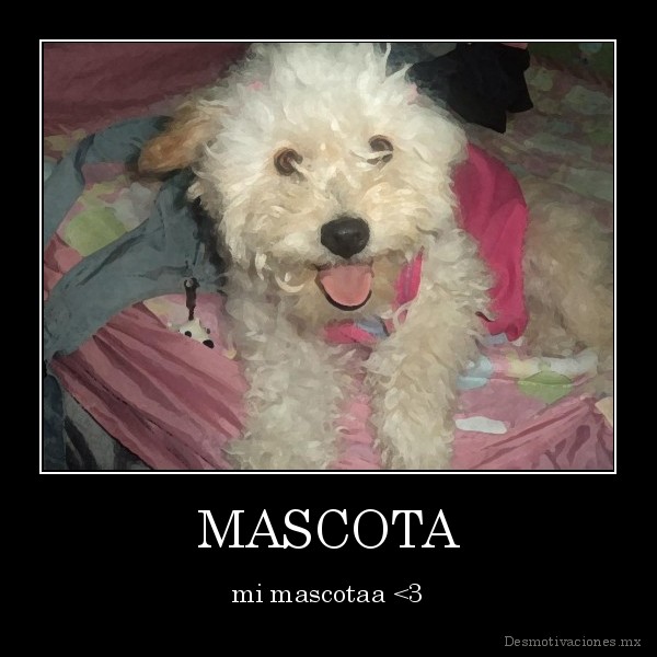MASCOTA
