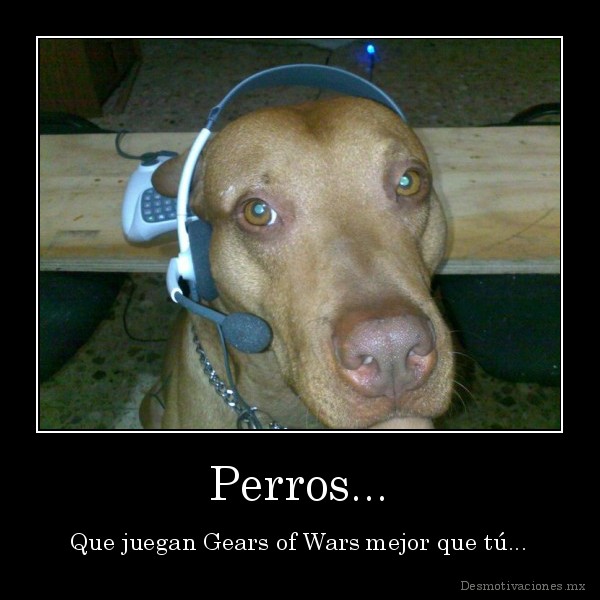 Perros...