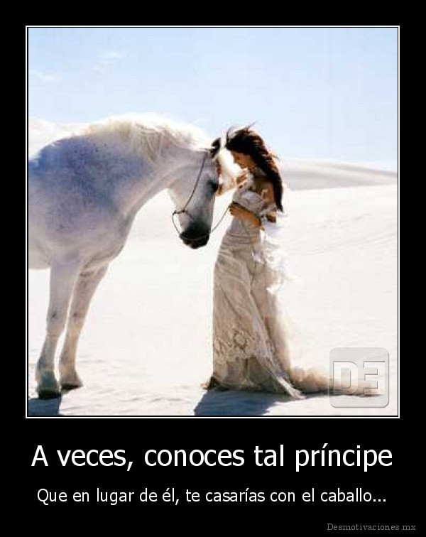 A veces, conoces tal príncipe
