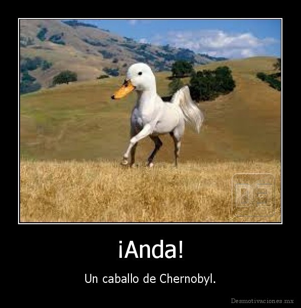 ¡Anda!