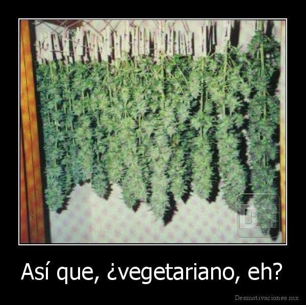 Así que, ¿vegetariano, eh?