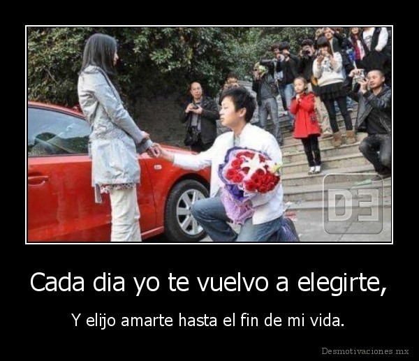 Cada dia yo te vuelvo a elegirte,