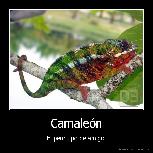 Camaleón