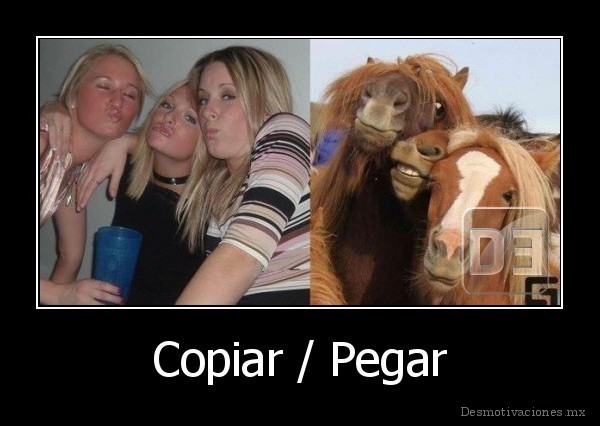 Copiar / Pegar