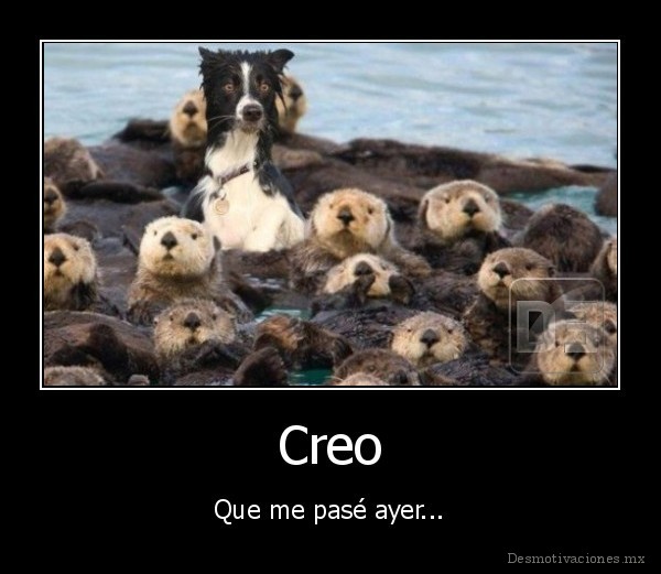 Creo