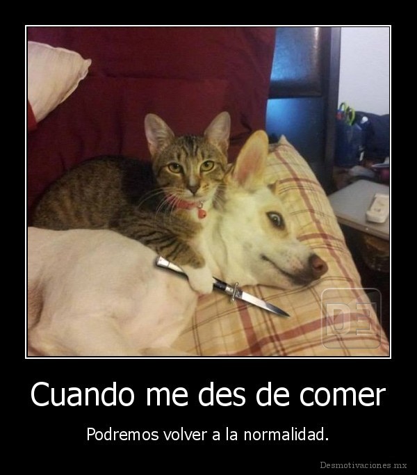 Cuando me des de comer