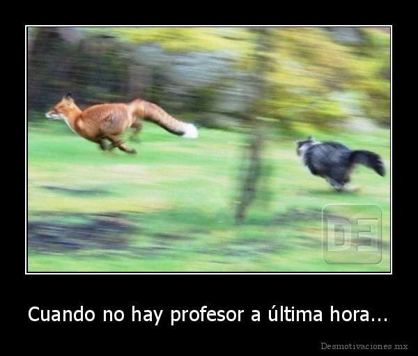 Cuando no hay profesor a última hora...