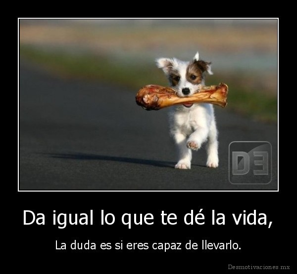 Da igual lo que te dé la vida,