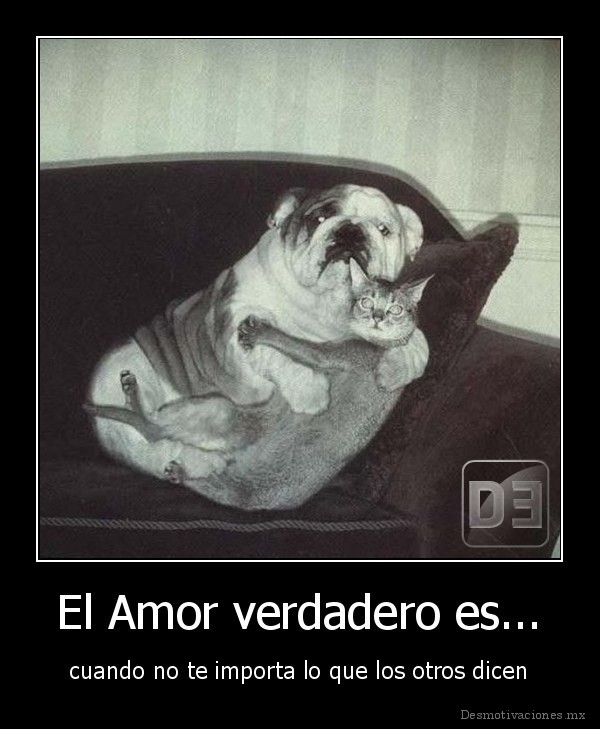 El Amor verdadero es...