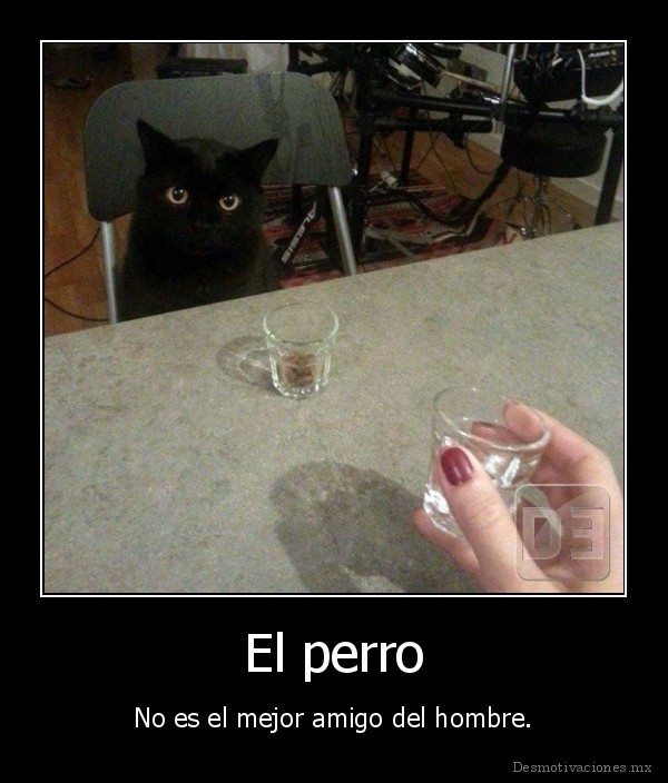 El perro