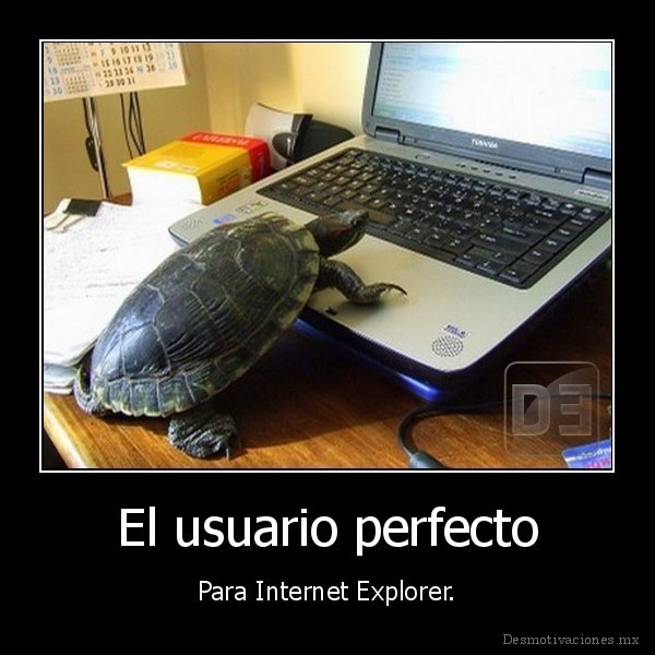 El usuario perfecto