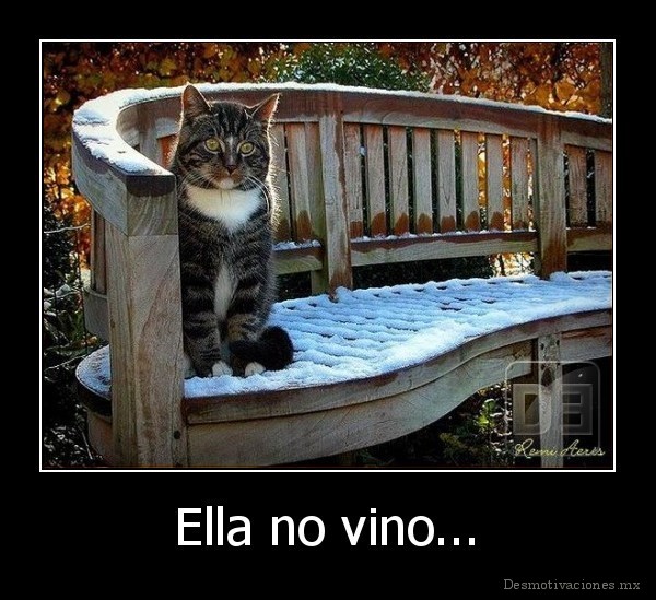 Ella no vino...