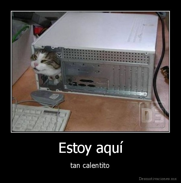 Estoy aquí