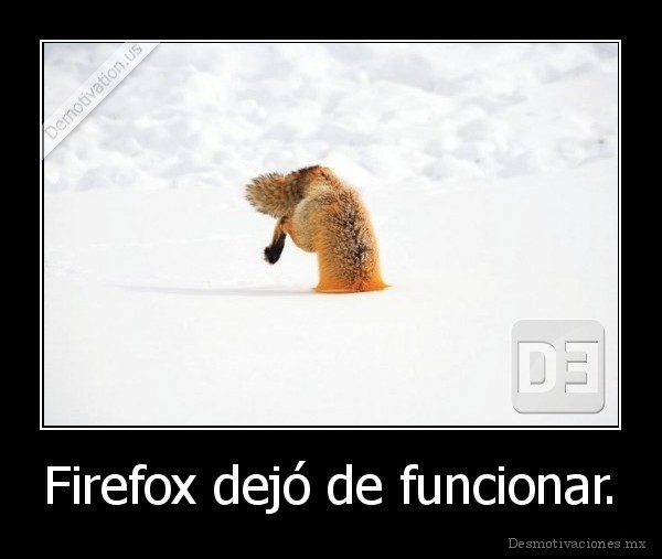 Firefox dejó de funcionar.