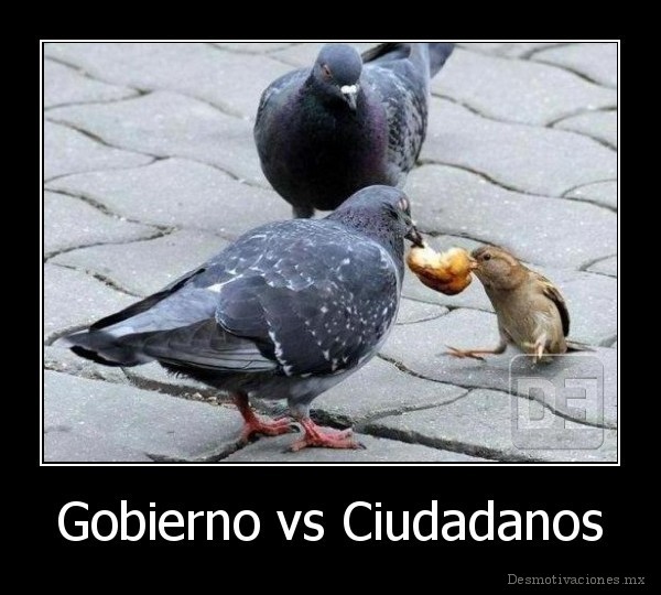 Gobierno vs Ciudadanos