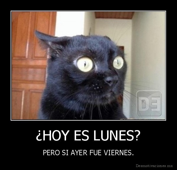 ¿HOY ES LUNES?
