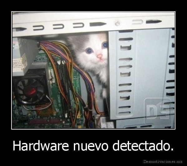 Hardware nuevo detectado.