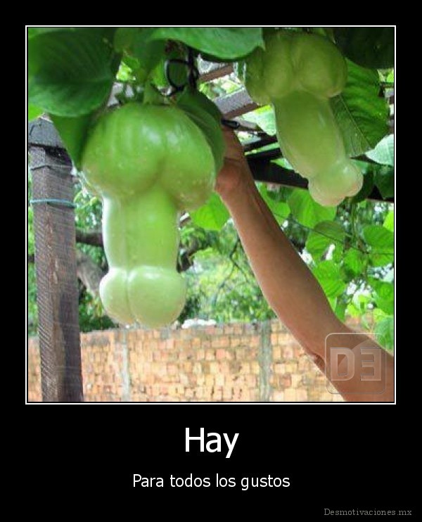 Hay