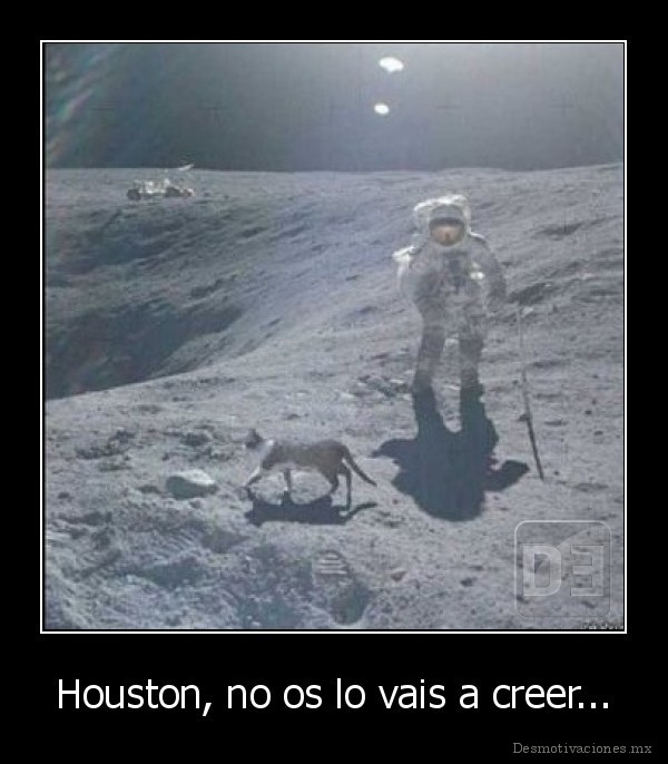 Houston, no os lo vais a creer...