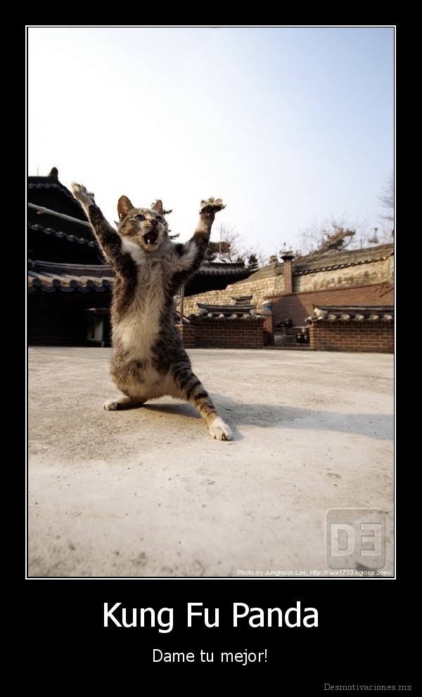 Kung Fu Panda