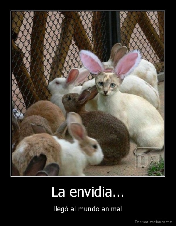 La envidia...