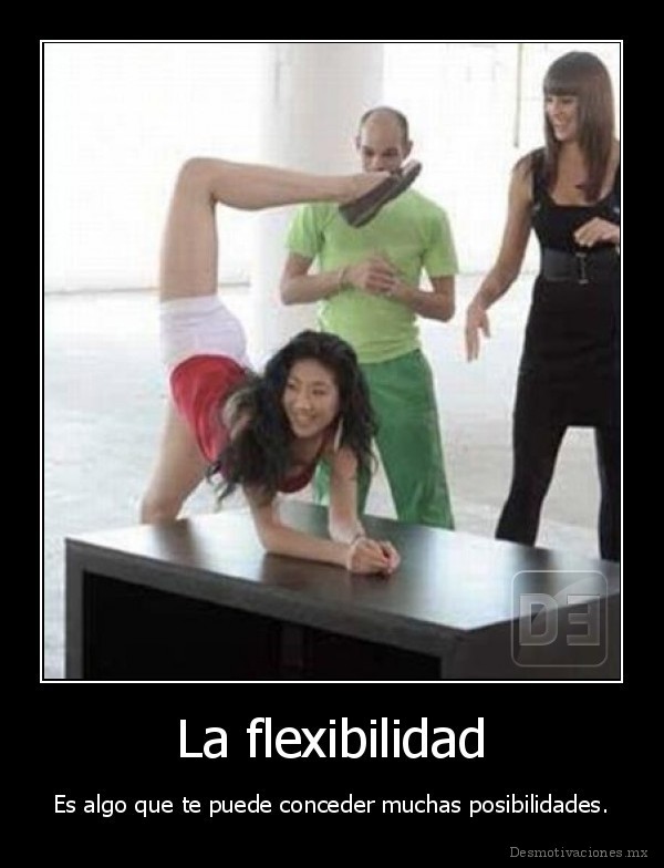 La flexibilidad