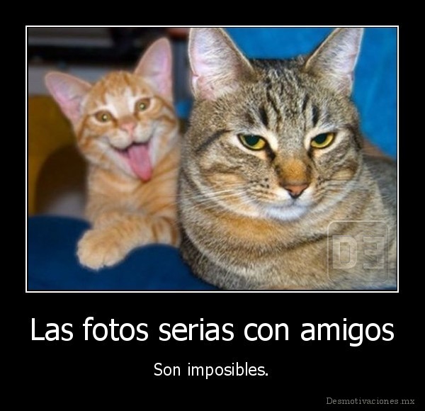 Las fotos serias con amigos