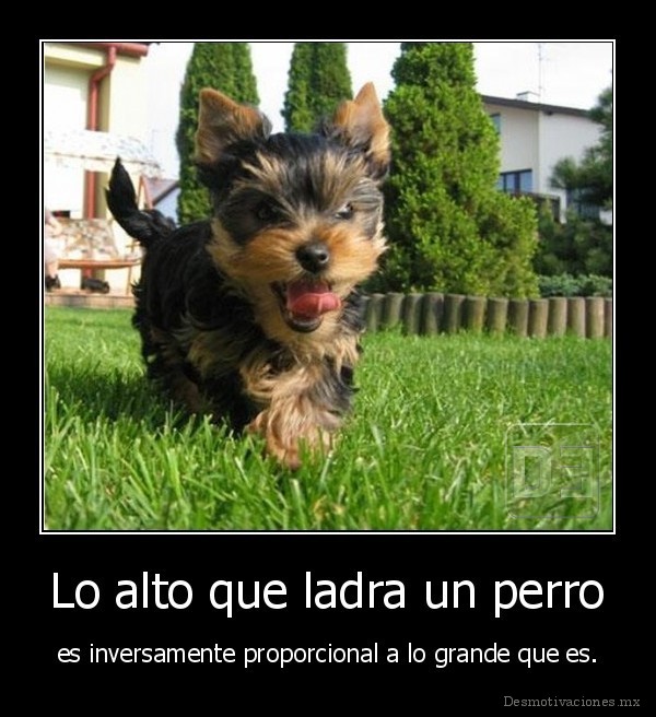 Lo alto que ladra un perro