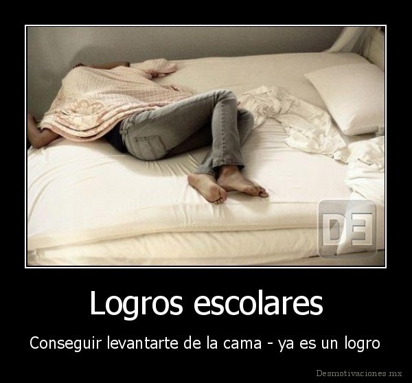 Logros escolares