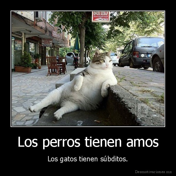 Los perros tienen amos