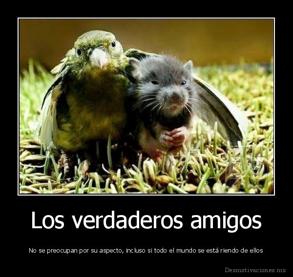 Los verdaderos amigos