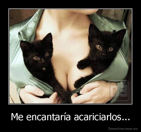 Me encantaría acariciarlos...