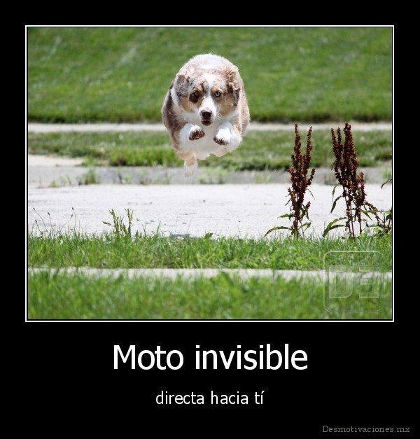 Moto invisible