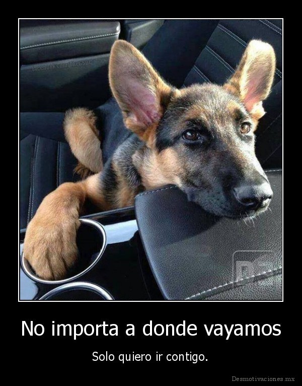 No importa a donde vayamos