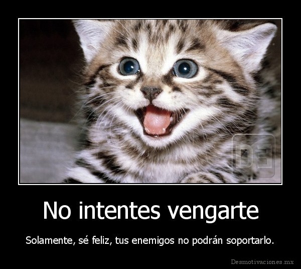 No intentes vengarte