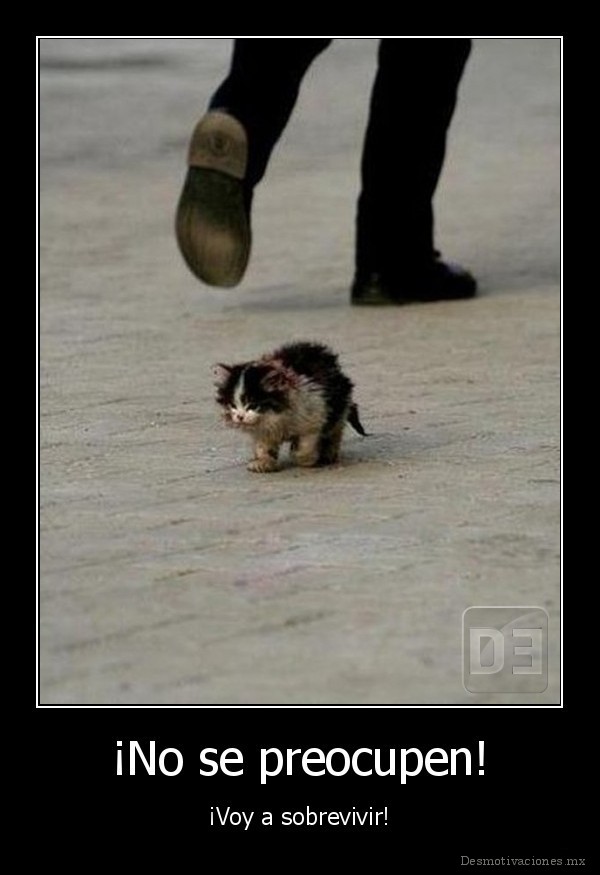 ¡No se preocupen!