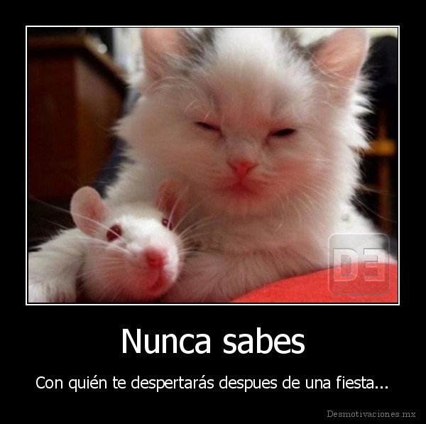 Nunca sabes