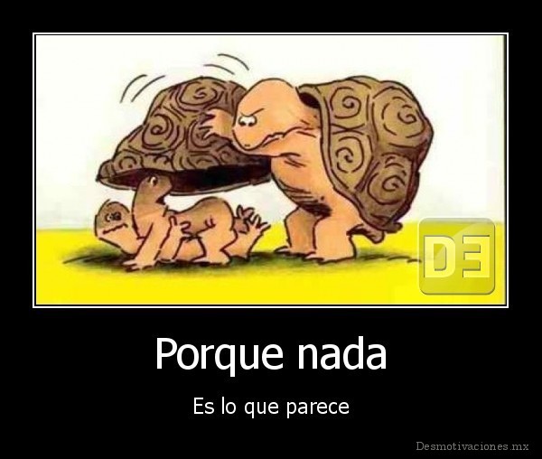 Porque nada