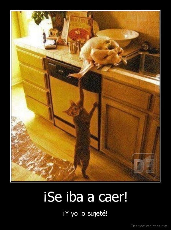 ¡Se iba a caer!