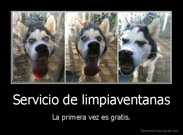 Servicio de limpiaventanas
