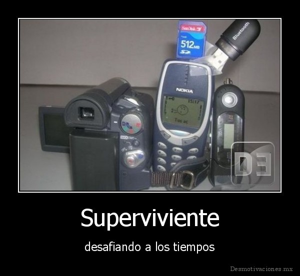 Superviviente
