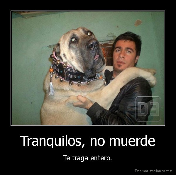 Tranquilos, no muerde