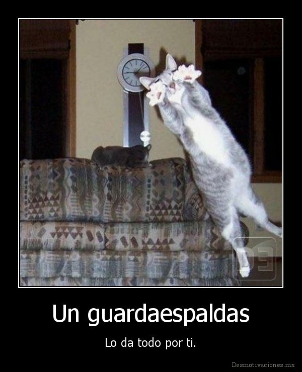 Un guardaespaldas