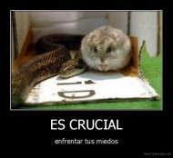 ES CRUCIAL - enfrentar tus miedos