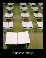 Escuela Ninja - 