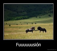 Fuuuuuusión - 